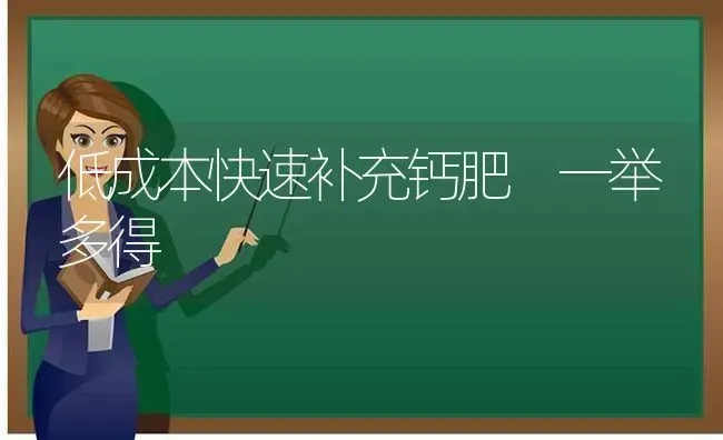 韭菜无公害栽培技术 | 蔬菜种植