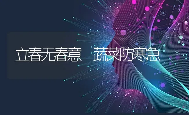 立春无春意　蔬菜防寒急 | 蔬菜种植