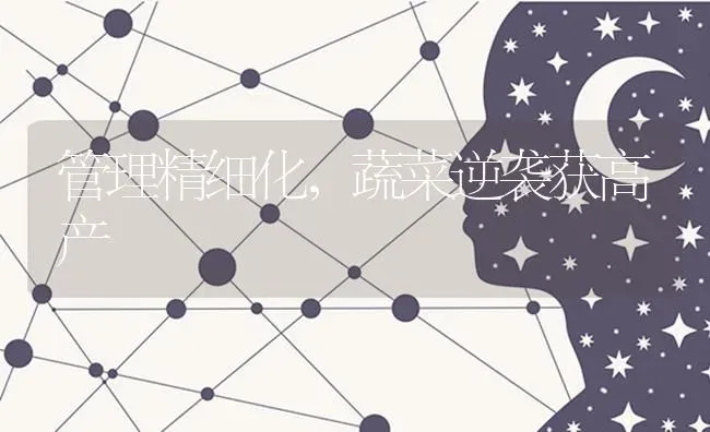 管理精细化，蔬菜逆袭获高产 | 蔬菜种植