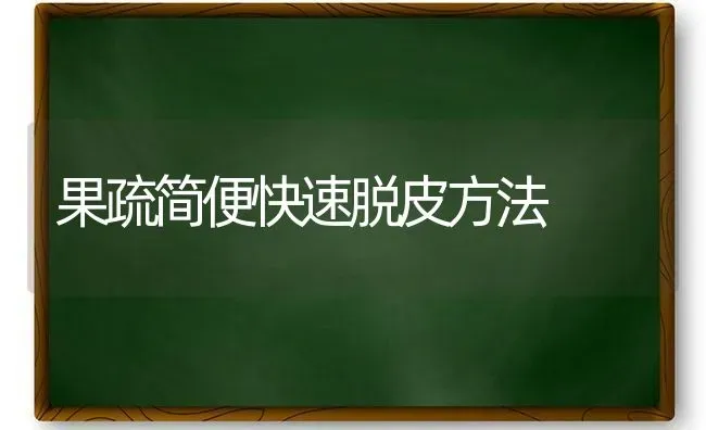 果疏简便快速脱皮方法 | 瓜果种植