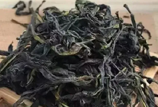 食用常识|雪片茶属于什么茶
