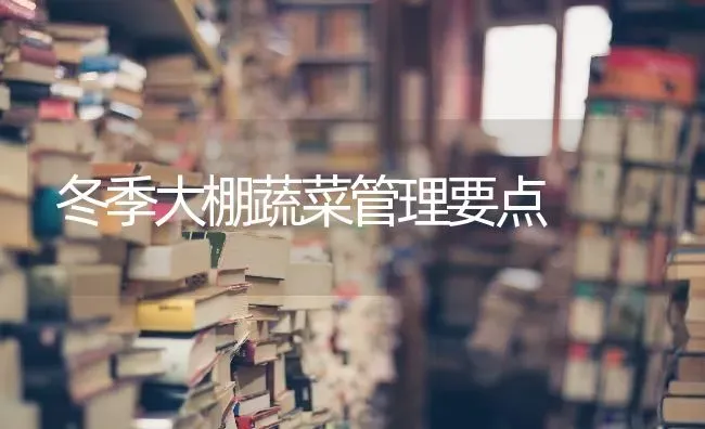 冬季大棚蔬菜管理要点 | 蔬菜种植