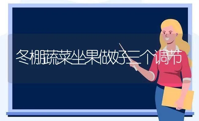 冬棚蔬菜坐果做好三个调节 | 蔬菜种植