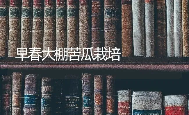 早春大棚苦瓜栽培 | 蔬菜种植