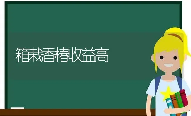 箱栽香椿收益高 | 瓜果种植