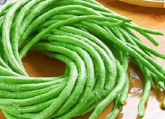 食用须知|豇豆怎样晒干 长豆角干的晒制作方法