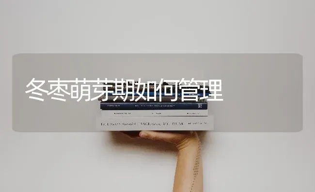 冬枣萌芽期如何管理 | 瓜果种植