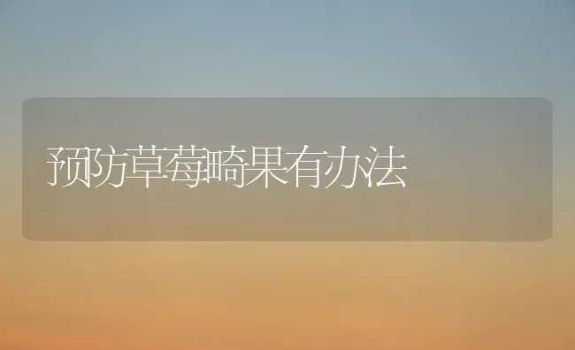 预防草莓畸果有办法 | 瓜果种植