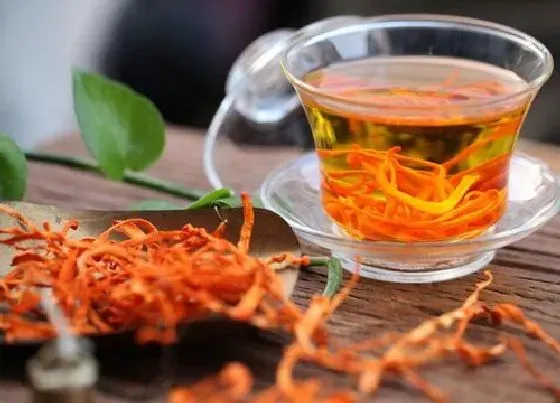 功效常识|虫草花有什么作用与功效 虫草花有什么营养与吃法