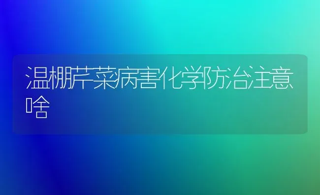 温棚芹菜病害化学防治注意啥 | 蔬菜种植