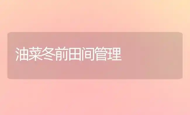 油菜冬前田间管理 | 粮油作物种植