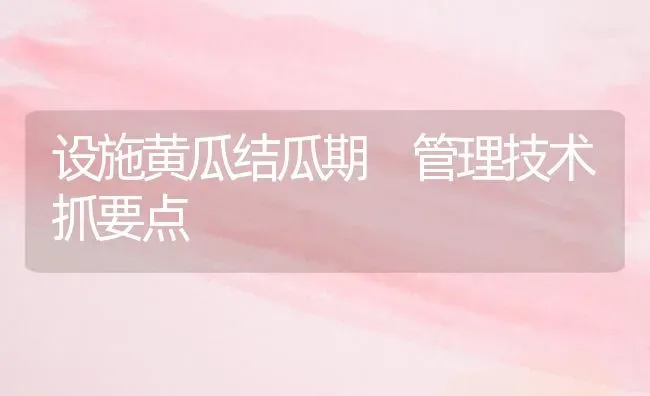 设施黄瓜结瓜期 管理技术抓要点 | 蔬菜种植