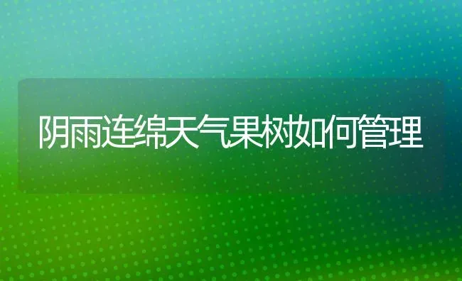 阴雨连绵天气果树如何管理 | 瓜果种植