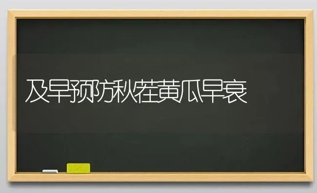 及早预防秋茬黄瓜早衰 | 蔬菜种植