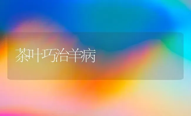 越冬油菜的防冻保苗 | 粮油作物种植