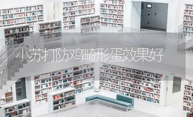 小苏打防鸡畸形蛋效果好 | 瓜果种植