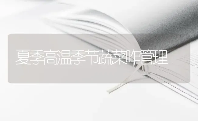 夏季高温季节蔬菜咋管理 | 蔬菜种植