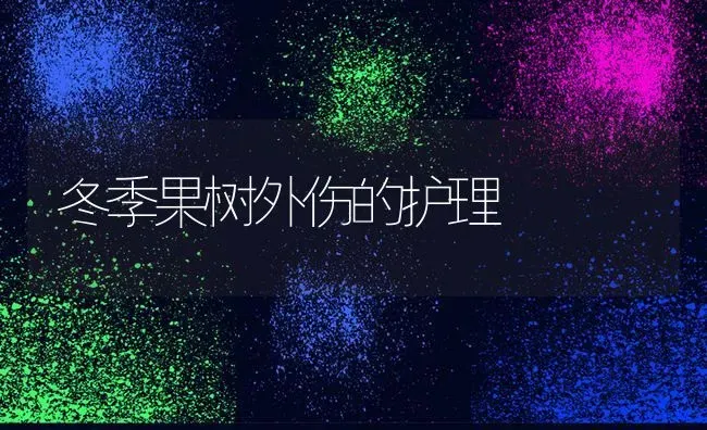 冬季果树外伤的护理 | 瓜果种植