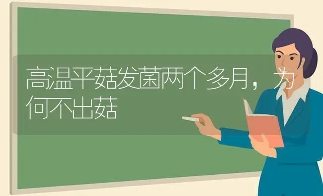 高温平菇发菌两个多月，为何不出菇 | 食用菌种植