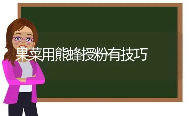 果菜用熊蜂授粉有技巧 | 瓜果种植