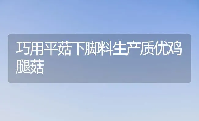 巧用平菇下脚料生产质优鸡腿菇 | 食用菌种植