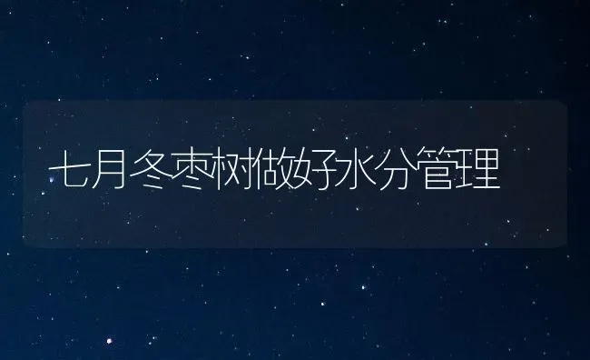 七月冬枣树做好水分管理 | 瓜果种植