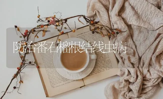 怎样酸渍加工双孢菇 | 食用菌种植
