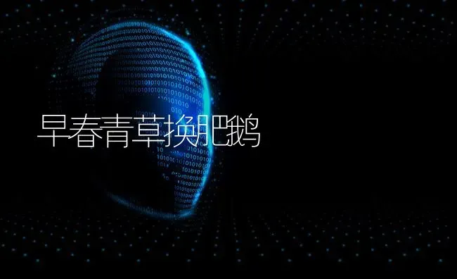 早春青草换肥鹅 | 瓜果种植