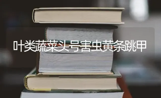 叶类蔬菜头号害虫黄条跳甲 | 蔬菜种植
