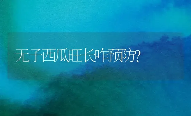 无子西瓜旺长咋预防？ | 瓜果种植