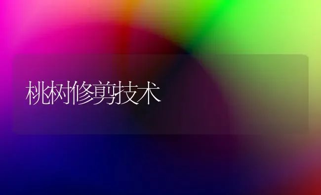 桃树修剪技术 | 瓜果种植