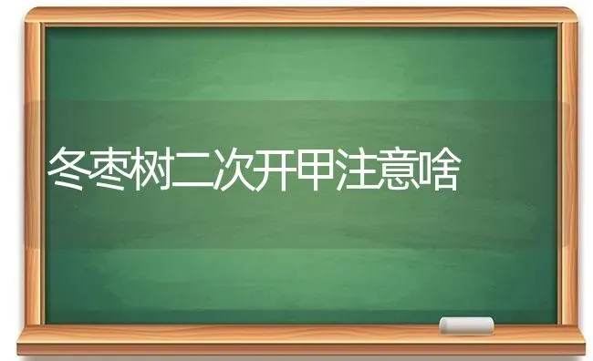 冬枣树二次开甲注意啥 | 瓜果种植