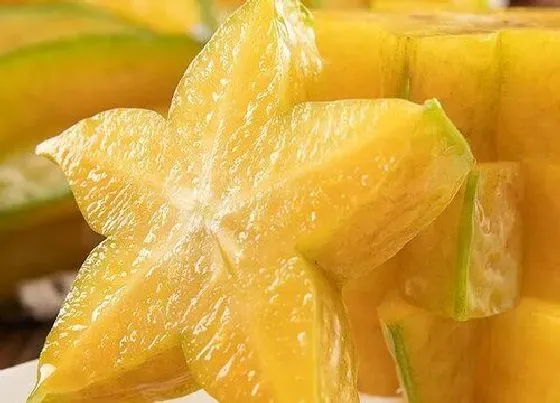 食用须知|杨桃一天吃几个算过量（正常人一天吃几个杨桃为宜）