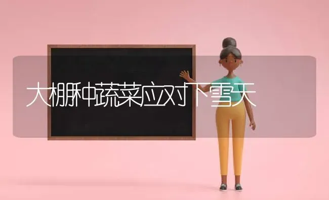 大棚种蔬菜应对下雪天 | 蔬菜种植