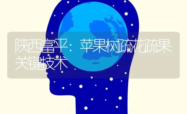 陕西富平：苹果树疏花疏果关键技术 | 瓜果种植