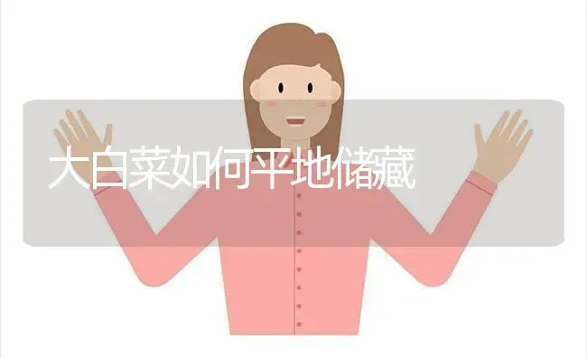 大白菜如何平地储藏 | 蔬菜种植