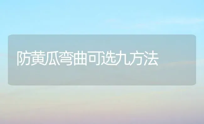 防黄瓜弯曲可选九方法 | 蔬菜种植