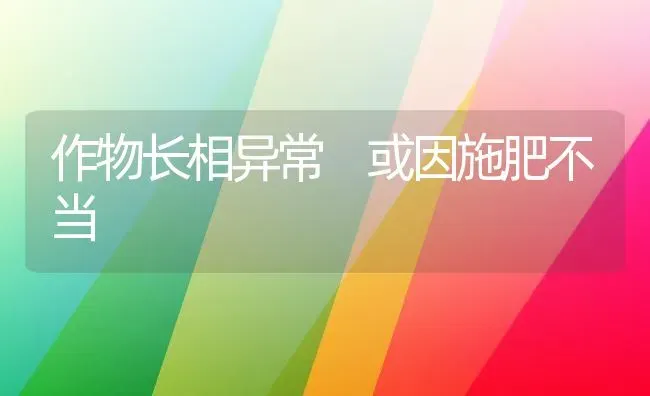 作物长相异常 或因施肥不当 | 种植肥料施肥