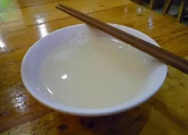 植物浇水|面汤能浇花吗