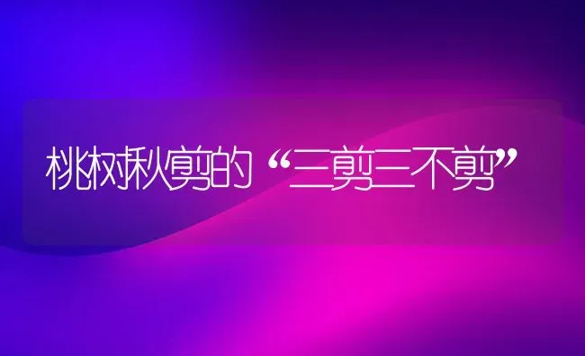桃树秋剪的“三剪三不剪” | 瓜果种植