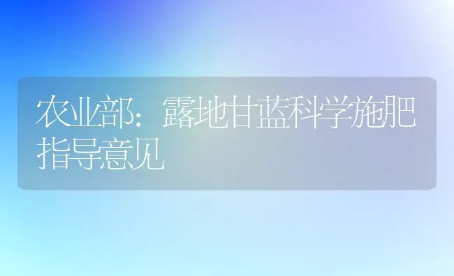 农业部：露地甘蓝科学施肥指导意见 | 种植肥料施肥