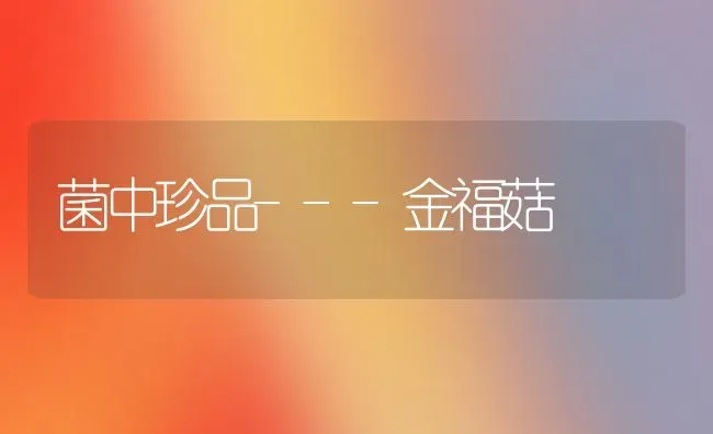 菌中珍品---金福菇 | 食用菌种植