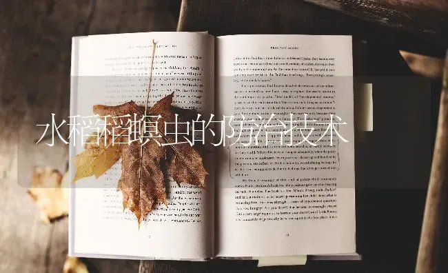 水稻稻螟虫的防治技术 | 粮油作物种植