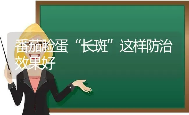 番茄脸蛋“长斑”这样防治效果好 | 瓜果种植