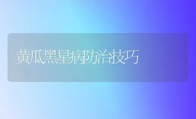 黄瓜黑星病防治技巧 | 蔬菜种植