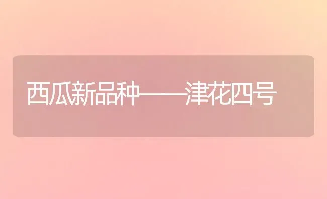 西瓜新品种——津花四号 | 瓜果种植