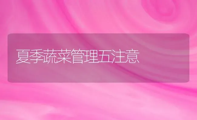 夏季蔬菜管理五注意 | 蔬菜种植