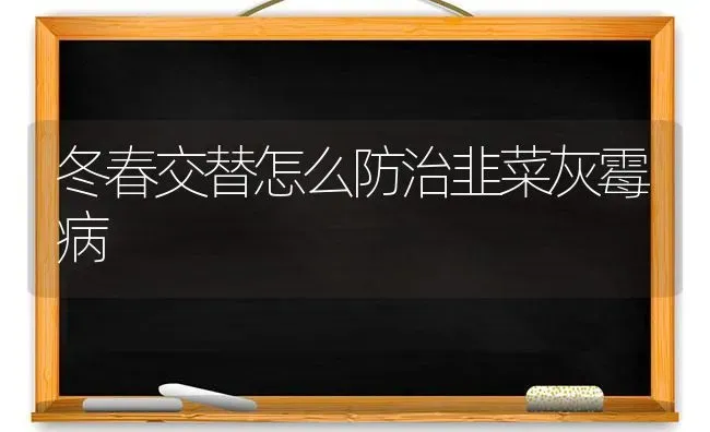冬春交替怎么防治韭菜灰霉病 | 蔬菜种植