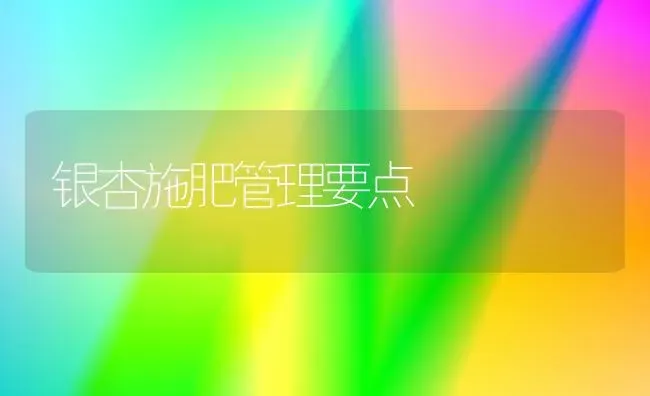 银杏施肥管理要点 | 种植肥料施肥