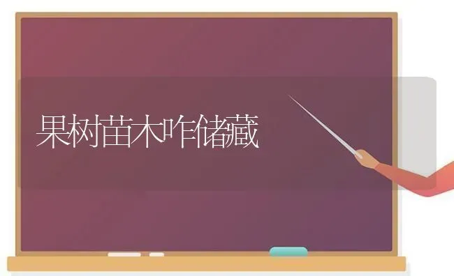 果树苗木咋储藏 | 瓜果种植
